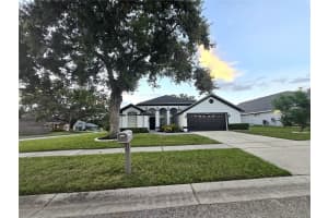 28739 RALEIGH PLACE, WESLEY CHAPEL, FL 33545 - MLS#MFRTB8440548