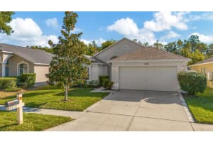 4110 Marchmont Blvd, LAND O LAKES