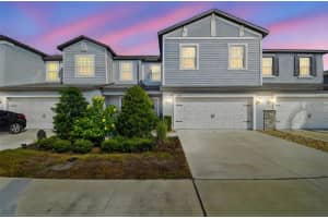 2213 Cerulean Sky Dr, LUTZ 2213 Cerulean Sky Dr, LUTZ