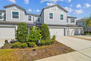 2213 CERULEAN SKY DRIVE, LUTZ, FL 33558 - MLS#MFRTB8440576