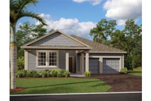 30109 MISTY PINES RD., MOUNT DORA, FL 32757 - MLS#MFRTB8440577