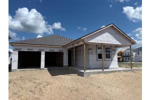 30109 MISTY PINES RD., MOUNT DORA, FL 32757 - MLS#MFRTB8440577