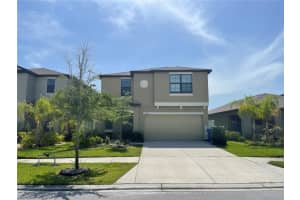 4329 Globe Thistle Dr, TAMPA