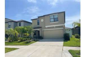 4329 GLOBE THISTLE DRIVE, TAMPA, FL 33619 - MLS#MFRTB8440578