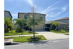 4329 GLOBE THISTLE DRIVE, TAMPA, FL 33619 - MLS#MFRTB8440578