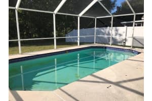 8431 HAWBUCK STREET, TRINITY, FL 34655 - MLS#MFRTB8440593