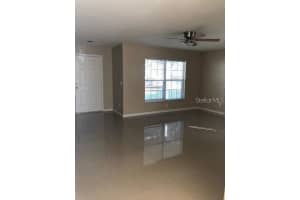 8431 HAWBUCK STREET, TRINITY, FL 34655 - MLS#MFRTB8440593