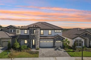 14930 RIDER PASS DRIVE, LITHIA, FL 33547 - MLS#MFRTB8440600