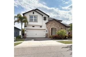 11638 Sweet Tangerine Ln, TAMPA