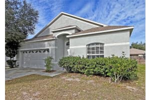 24925 VINTAGE COURT, LUTZ, FL 33559 - MLS#MFRTB8440610