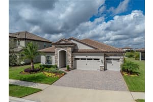 10877 RUSTIC TIMBER LOOP, SAN ANTONIO, FL 33576 - MLS#MFRTB8440611