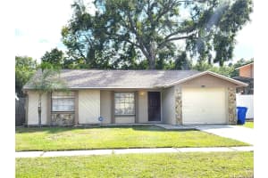 2806 Burr Oak Dr, TAMPA