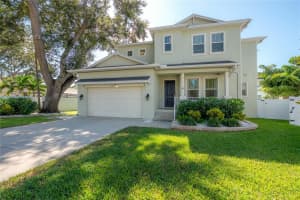 3623 S Renellie Dr, TAMPA