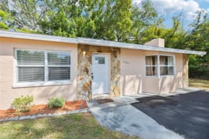 10303 MYRTLE STREET, TAMPA, FL 33617 - MLS#MFRTB8440636