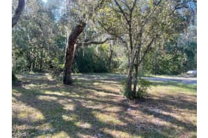 11428 TENOAKS DRIVE, HUDSON, FL 34669 - MLS#MFRTB8440663