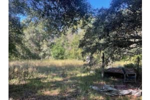 11428 TENOAKS DRIVE, HUDSON, FL 34669 - MLS#MFRTB8440663