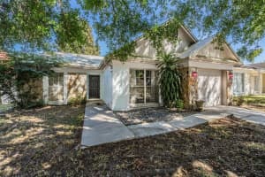 8508 Misty River Ct, TAMPA