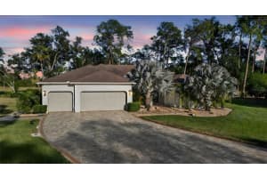 15802 Stanton Ln, TAMPA 15802 Stanton Ln, TAMPA