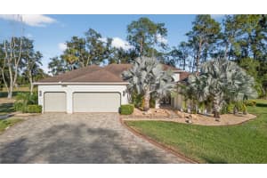 15802 STANTON LANE, TAMPA, FL 33647 - MLS#MFRTB8440669