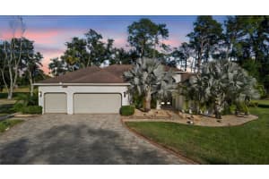 15802 STANTON LANE, TAMPA, FL 33647 - MLS#MFRTB8440669