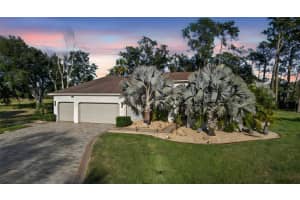 15802 STANTON LANE, TAMPA, FL 33647 - MLS#MFRTB8440669