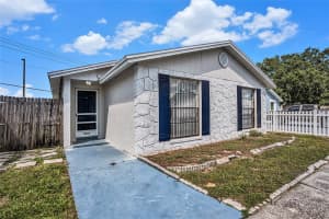 8234 RAVENCROFT DRIVE, TAMPA, FL 33615 - MLS#MFRTB8440684