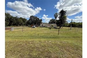 12036 BULLFROG CREEK ROAD, GIBSONTON, FL 33534 - MLS#MFRTB8440708