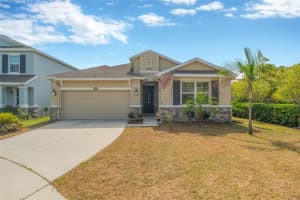 12542 Candleberry Cir, TAMPA