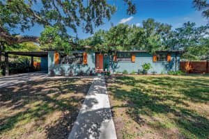 1602 E Henry Ave, TAMPA