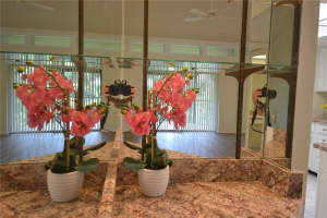 226 WOODLAKE WYNDE, OLDSMAR, FL 34677 - MLS#MFRTB8440755