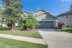 18734 BURNDALL COURT, LAND O LAKES, FL 34638 - MLS#MFRTB8440777