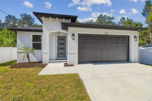 8704 N Otis Ave, TAMPA