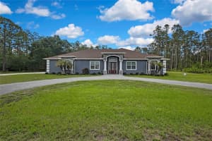 27338 ELKWOOD CIRCLE, WESLEY CHAPEL, FL 33544 - MLS#MFRTB8440817