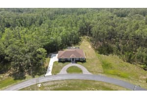 27338 ELKWOOD CIRCLE, WESLEY CHAPEL, FL 33544 - MLS#MFRTB8440817