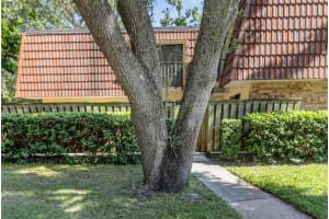 693 1ST COURT, PALM HARBOR, FL 34684 - MLS#MFRTB8440830