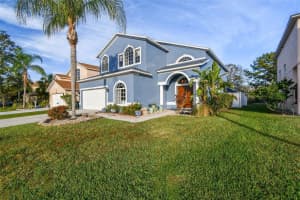 1637 GRAY BARK DRIVE, OLDSMAR, FL 34677 - MLS#MFRTB8440841