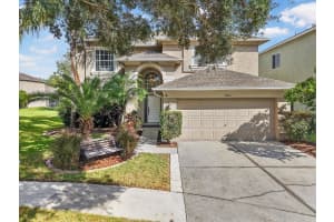19333 AQUA SPRINGS DRIVE, LUTZ, FL 33558 - MLS#MFRTB8440852