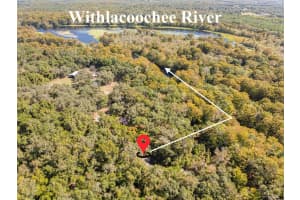 10750 SYBIL COURT, FLORAL CITY, FL 34436 - MLS#MFRTB8440903