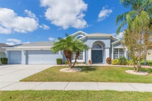 10316 Riverburn Dr, TAMPA