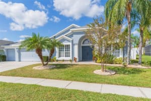 10316 RIVERBURN DRIVE, TAMPA, FL 33647 - MLS#MFRTB8440904
