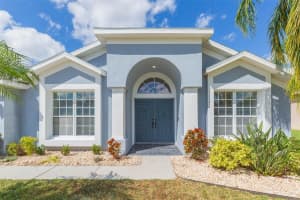 10316 RIVERBURN DRIVE, TAMPA, FL 33647 - MLS#MFRTB8440904