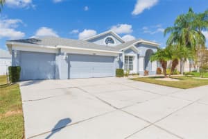 10316 RIVERBURN DRIVE, TAMPA, FL 33647 - MLS#MFRTB8440904