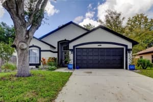 1941 Tinker Dr, LUTZ