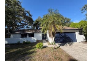 933 WOODLAND DRIVE, PALM HARBOR, FL 34683 - MLS#MFRTB8440912