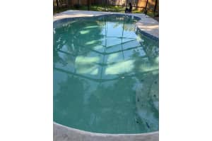 933 WOODLAND DRIVE, PALM HARBOR, FL 34683 - MLS#MFRTB8440912