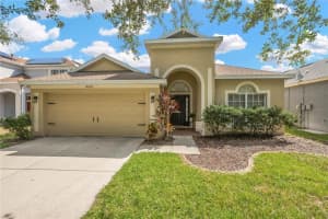 12834 Hampton Hill Dr, RIVERVIEW 12834 Hampton Hill Dr, RIVERVIEW