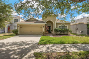 12834 HAMPTON HILL DRIVE, RIVERVIEW, FL 33578 - MLS#MFRTB8440944