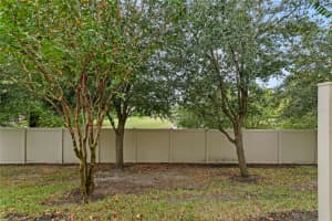 11506 CROWNED SPARROW LANE, TAMPA, FL 33626 - MLS#MFRTB8440950