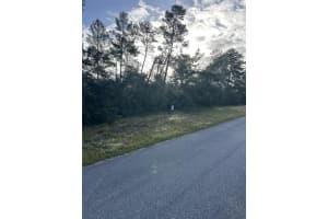 17213 28TH AVENUE, OCALA, FL 34473 - MLS#MFRTB8440973