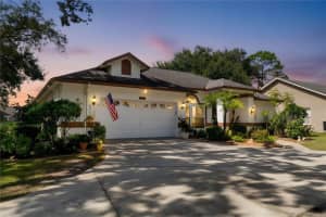 22938 STERLING MANOR LOOP, LUTZ, FL 33549 - MLS#MFRTB8441032